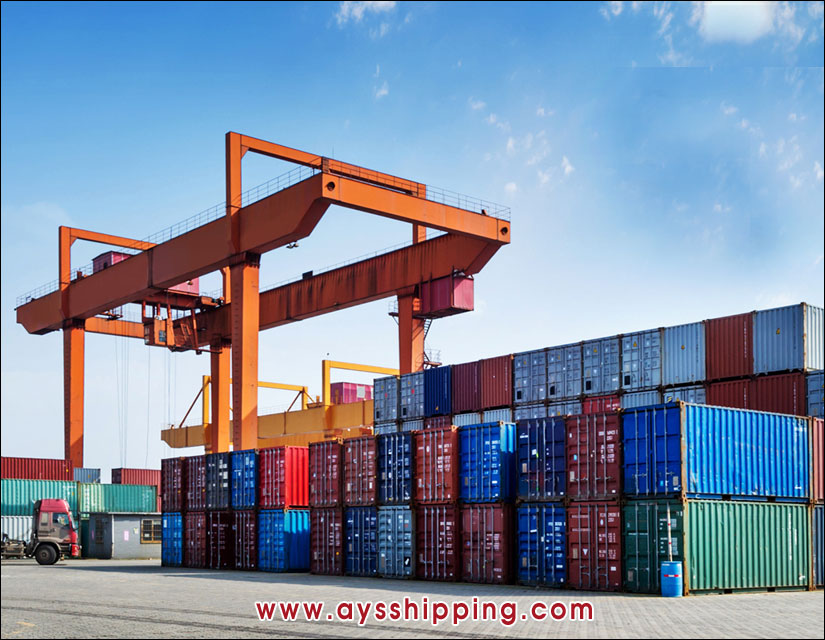 Fast Export Clearance Service For International Shipping From Olc Shipping Line